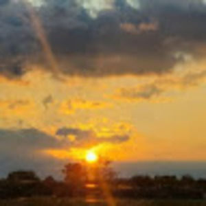 Meet your Posher, Lesa